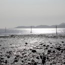 조개체험장  대죽 이미지