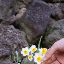 애화공원 이미지