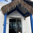 에코랜드수영장 수영장 | 제주 에코랜드 호텔 수영장 아이랑 후기