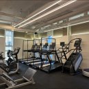 스타휘트니스 246 이미지