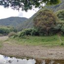 울주 대곡리 반구대 암각화 네이버블로그