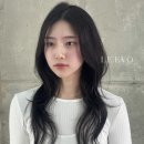 수진디자인 이미지