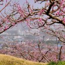 선웅농원 이미지