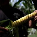 건수농장 이미지