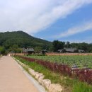 마비정농장 이미지