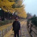 제일가든 이미지