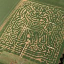 미로농장 이미지