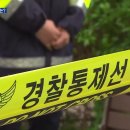 채 광