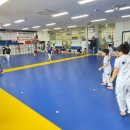 금강태권도 파워점핑 이미지