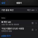 일본 오사카 다녀오면서 쓸 esim 데이터 이미지