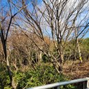 창원 내동패총 이미지