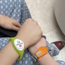 삼척동물병원 | [강원 정선, 삼척] 3주년 여행이라 쓰고 극기훈련이라 읽는다