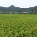 순흥농장 이미지