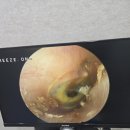 금강보청기송파센터 이미지