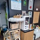 코코당구장 이미지