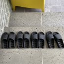 시고르까사 이미지