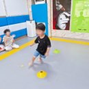 국가대표청룡태권도장 이미지