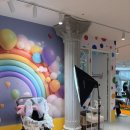 피터펫 미사점 이미지