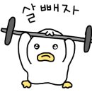 잡어와 묵은지
