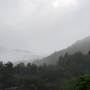 들꽃팬션 앞 이미지