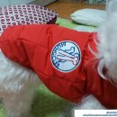 멍클레어 이미지