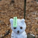 성주산자연휴양림 이미지