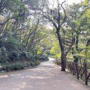 용화사광장밑 공영주차장 이미지