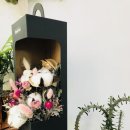 홍피아플레르
