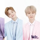 W24 카카오 검색결과