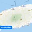 소다라 타이니 하우스 이미지