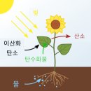 대보초등학교 이미지