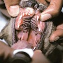 24시마음든든동물병원 이미지