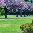 유엔기념공원주차장 이미지