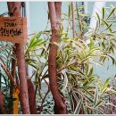 판교환경생태학습원 이미지