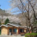 좌구산자연휴양림 이미지