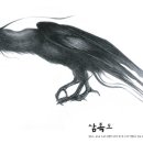 삼족오 이미지