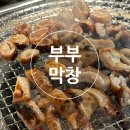 부부막창.꼼장어 | [포천/신읍동]부부막창 꼼장어-포천 현지인 막창 맛집 내돈내산 후기