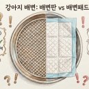 개엄마 | 패드냐 판이냐, 그것이 문제로다! 11년 차 개엄마의 찐 사용 후기 (ft. 자동 세척판까지)