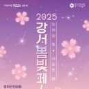 2025년 강서봄빛페스타 이미지