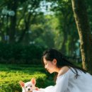 삼송동물의료센터 이미지