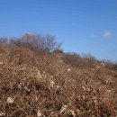 대구읍지 이미지