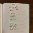 쓰미마셍
