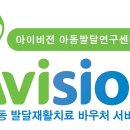 (주)아이비전
