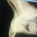 타임메디컬 이미지