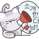 토리153 이미지