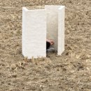 용상종합정비 이미지