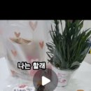 삼성영어수학여우안흥학원