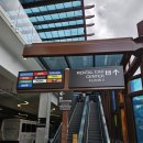H7. 허츠 Hertz 골드멤버스 등록 가입방법 하와이 호놀룰루 공항 렌트카 위치 주의사항 꿀팁