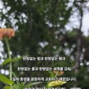 한량 - 마포구 와우산로32길 11 | 한량