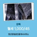 금산공인중개사사무소 이미지